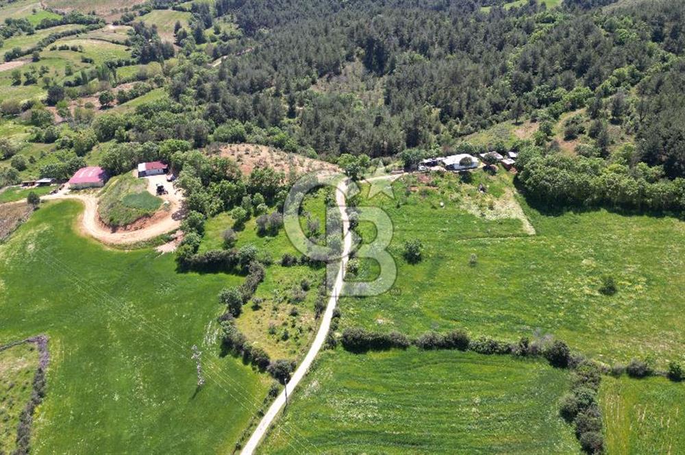 ÇANAKKALE BAYRAMİÇ GÜZELTEPE KÖYÜNDE YAPI KAYIT BELGELİ ÇİFTLİK
