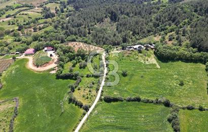 ÇANAKKALE BAYRAMİÇ GÜZELTEPE KÖYÜNDE YAPI KAYIT BELGELİ ÇİFTLİK