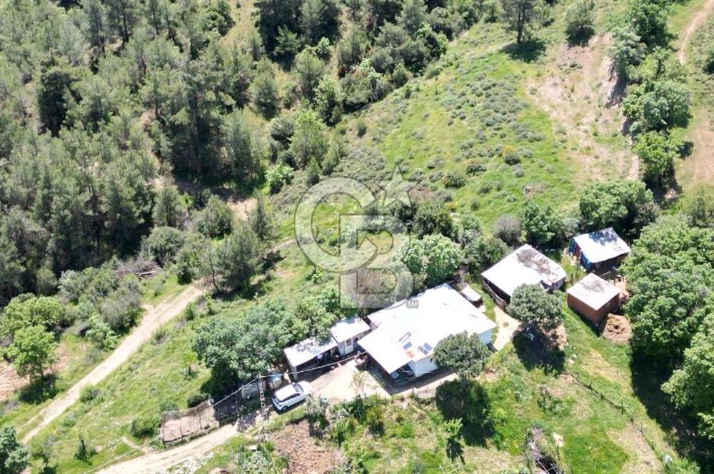 ÇANAKKALE BAYRAMİÇ GÜZELTEPE KÖYÜNDE YAPI KAYIT BELGELİ ÇİFTLİK