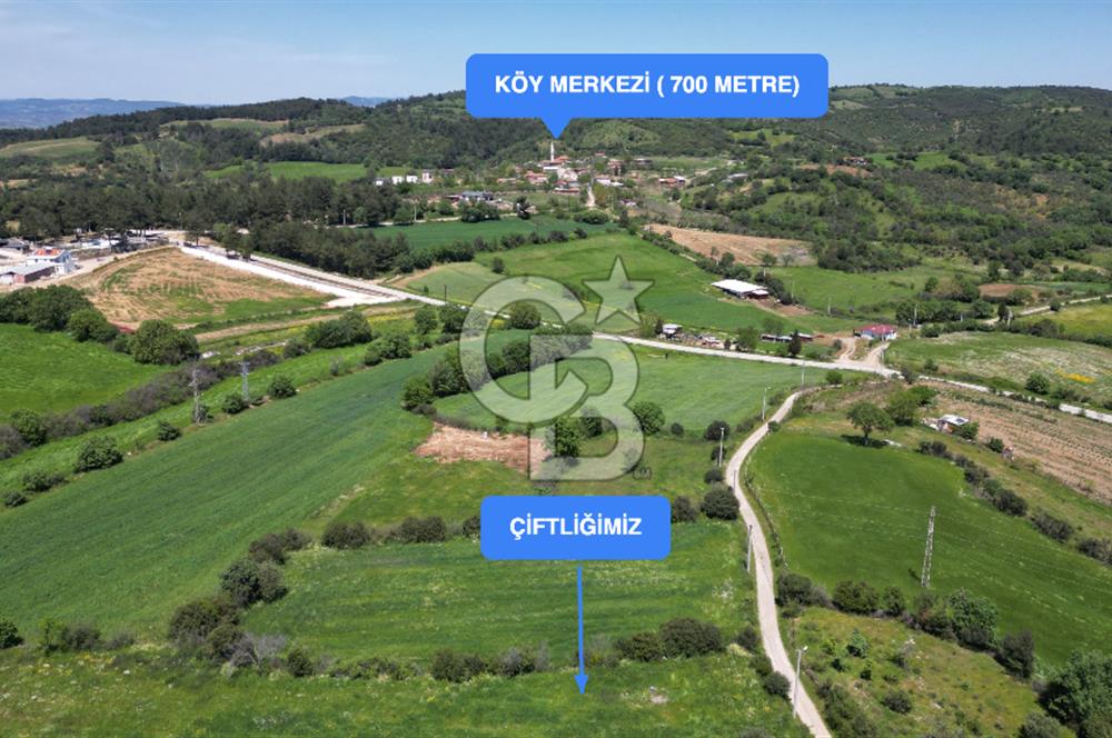 ÇANAKKALE BAYRAMİÇ GÜZELTEPE KÖYÜNDE YAPI KAYIT BELGELİ ÇİFTLİK