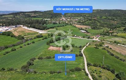 ÇANAKKALE BAYRAMİÇ GÜZELTEPE KÖYÜNDE YAPI KAYIT BELGELİ ÇİFTLİK