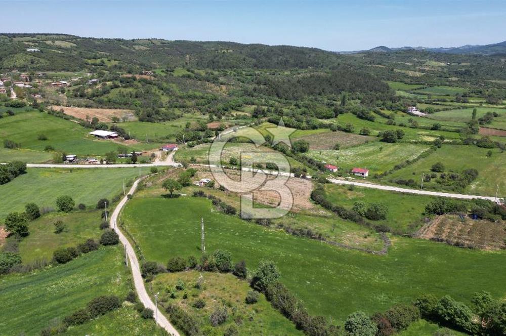 ÇANAKKALE BAYRAMİÇ GÜZELTEPE KÖYÜNDE YAPI KAYIT BELGELİ ÇİFTLİK