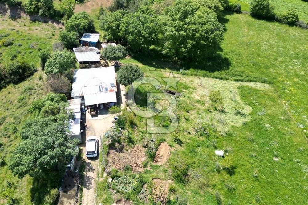ÇANAKKALE BAYRAMİÇ GÜZELTEPE KÖYÜNDE YAPI KAYIT BELGELİ ÇİFTLİK
