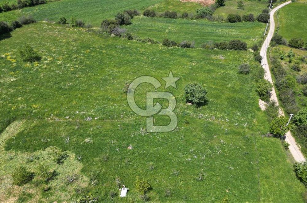 ÇANAKKALE BAYRAMİÇ GÜZELTEPE KÖYÜNDE YAPI KAYIT BELGELİ ÇİFTLİK