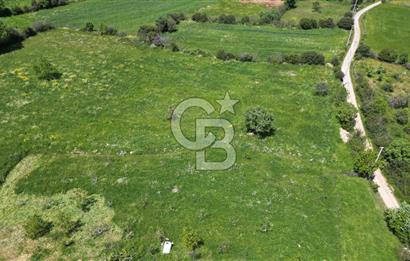 ÇANAKKALE BAYRAMİÇ GÜZELTEPE KÖYÜNDE YAPI KAYIT BELGELİ ÇİFTLİK
