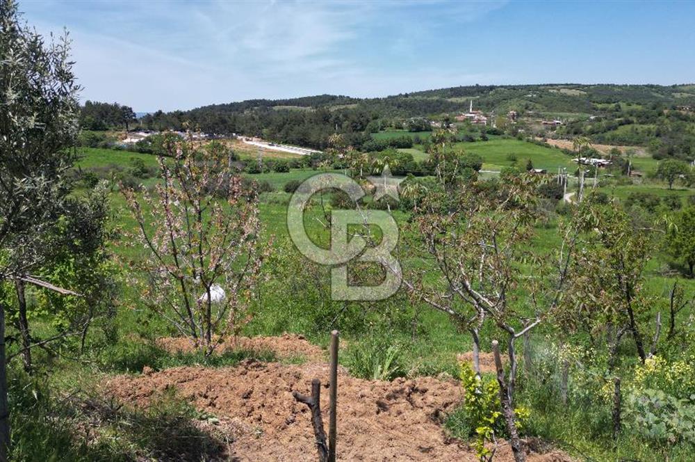 ÇANAKKALE BAYRAMİÇ GÜZELTEPE KÖYÜNDE YAPI KAYIT BELGELİ ÇİFTLİK