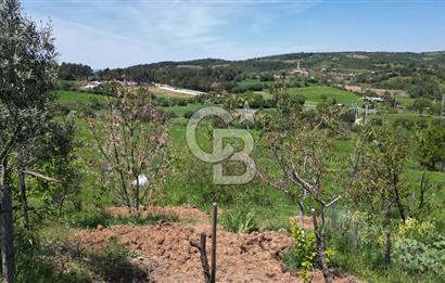ÇANAKKALE BAYRAMİÇ GÜZELTEPE KÖYÜNDE YAPI KAYIT BELGELİ ÇİFTLİK