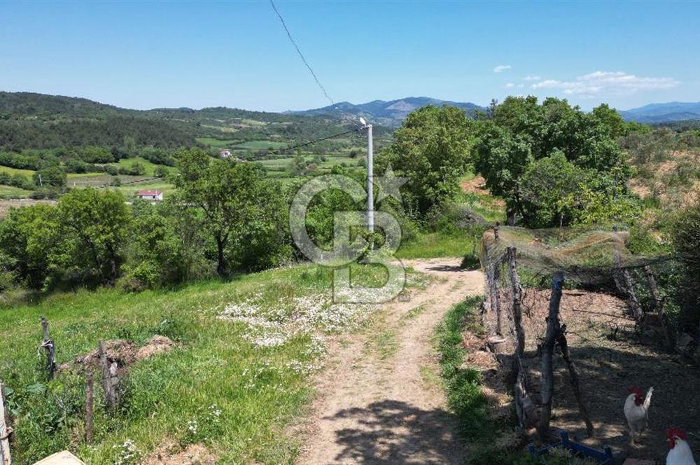 ÇANAKKALE BAYRAMİÇ GÜZELTEPE KÖYÜNDE YAPI KAYIT BELGELİ ÇİFTLİK