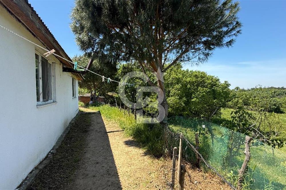 ÇANAKKALE BAYRAMİÇ GÜZELTEPE KÖYÜNDE YAPI KAYIT BELGELİ ÇİFTLİK