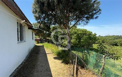 ÇANAKKALE BAYRAMİÇ GÜZELTEPE KÖYÜNDE YAPI KAYIT BELGELİ ÇİFTLİK
