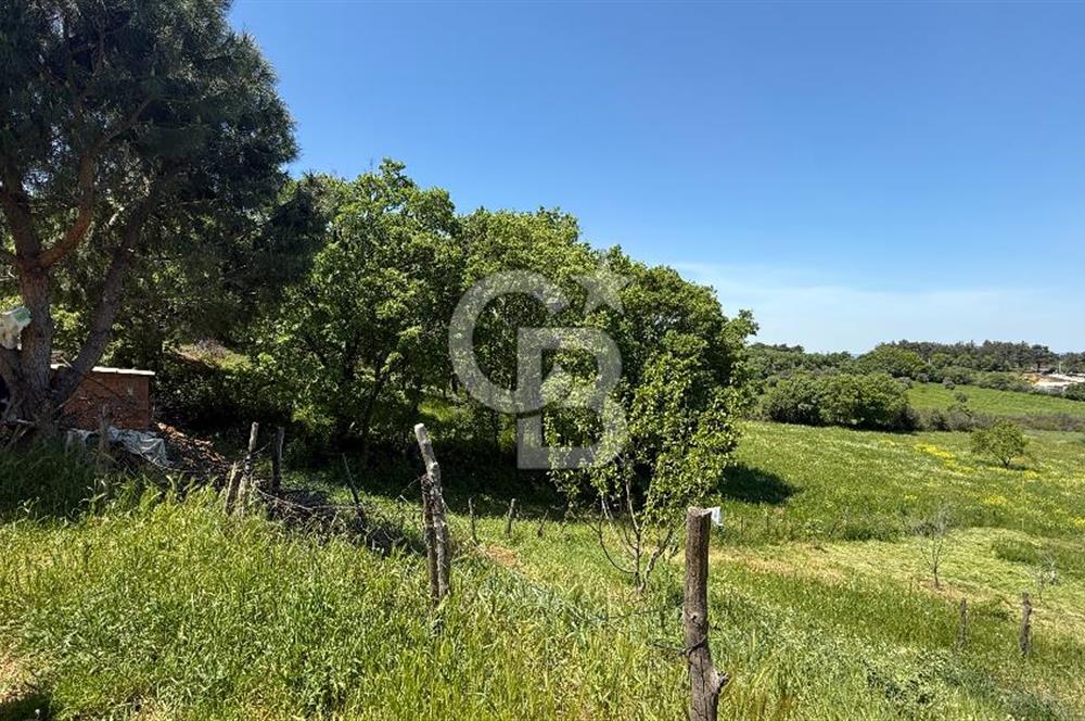 ÇANAKKALE BAYRAMİÇ GÜZELTEPE KÖYÜNDE YAPI KAYIT BELGELİ ÇİFTLİK