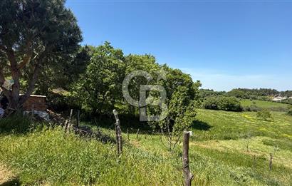 ÇANAKKALE BAYRAMİÇ GÜZELTEPE KÖYÜNDE YAPI KAYIT BELGELİ ÇİFTLİK