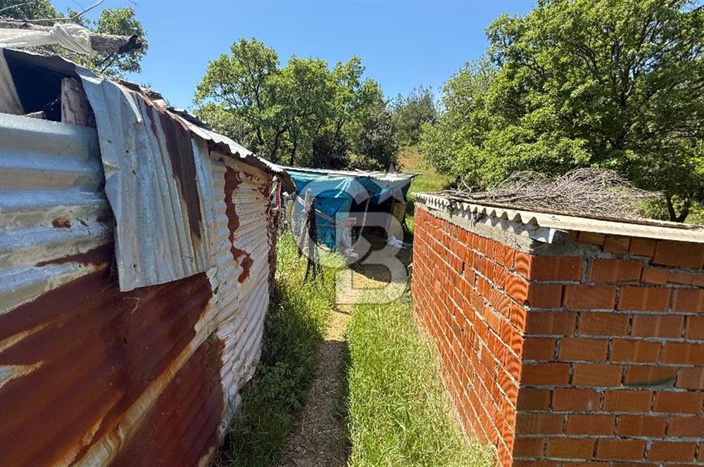 ÇANAKKALE BAYRAMİÇ GÜZELTEPE KÖYÜNDE YAPI KAYIT BELGELİ ÇİFTLİK