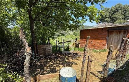 ÇANAKKALE BAYRAMİÇ GÜZELTEPE KÖYÜNDE YAPI KAYIT BELGELİ ÇİFTLİK