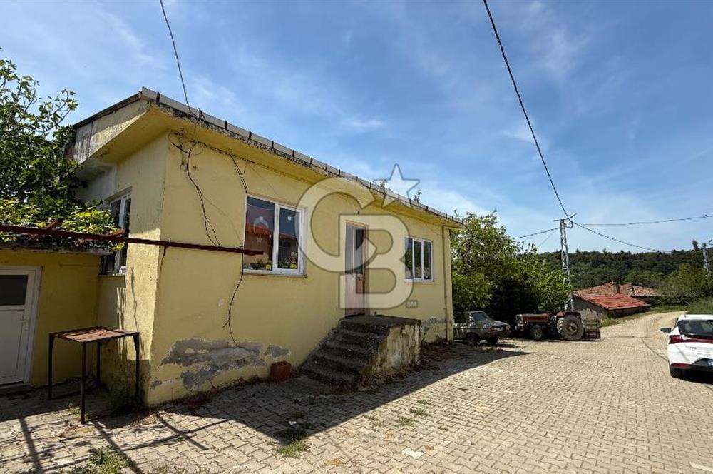 ÇANAKKALE BAYRAMİÇ GÜZELTEPE KÖYÜNDE YAPI KAYIT BELGELİ ÇİFTLİK
