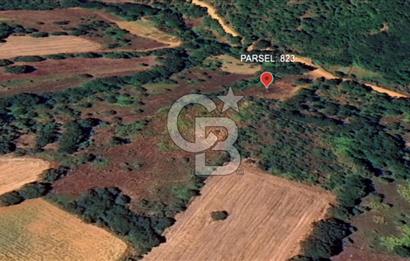 Çanakkale Çan Bozguç Köyünde Satılık Doğa Manzaralı Tarla