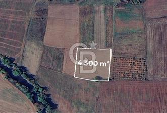 Karacabey Çeşnigir'de Yatırımlık 4.300 m² Tarla - 1 - 348444
