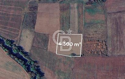 Karacabey Çeşnigir'de Yatırımlık 4.300 m² Tarla