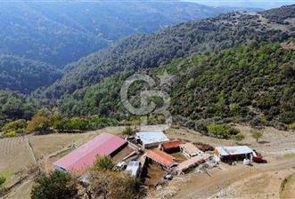 GÜZELBAHÇE / YAKA 192 M2 KAYNAK SUYU OLAN KAYA ZEMİN MÜSTAKİL EV - 2 - 348445