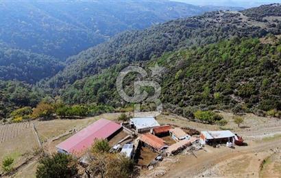 GÜZELBAHÇE / YAKA 192 M2 KAYNAK SUYU OLAN KAYA ZEMİN MÜSTAKİL EV