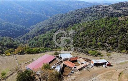 GÜZELBAHÇE / YAKA 308 M2 KAYNAK SUYU OLAN KAYA ZEMİN MÜSTAKİL EV