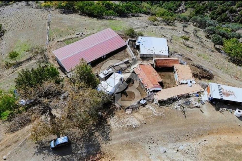 GÜZELBAHÇE / YAKA 192 M2 KAYNAK SUYU OLAN KAYA ZEMİN MÜSTAKİL EV