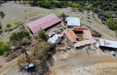 GÜZELBAHÇE / YAKA 192 M2 KAYNAK SUYU OLAN KAYA ZEMİN MÜSTAKİL EV