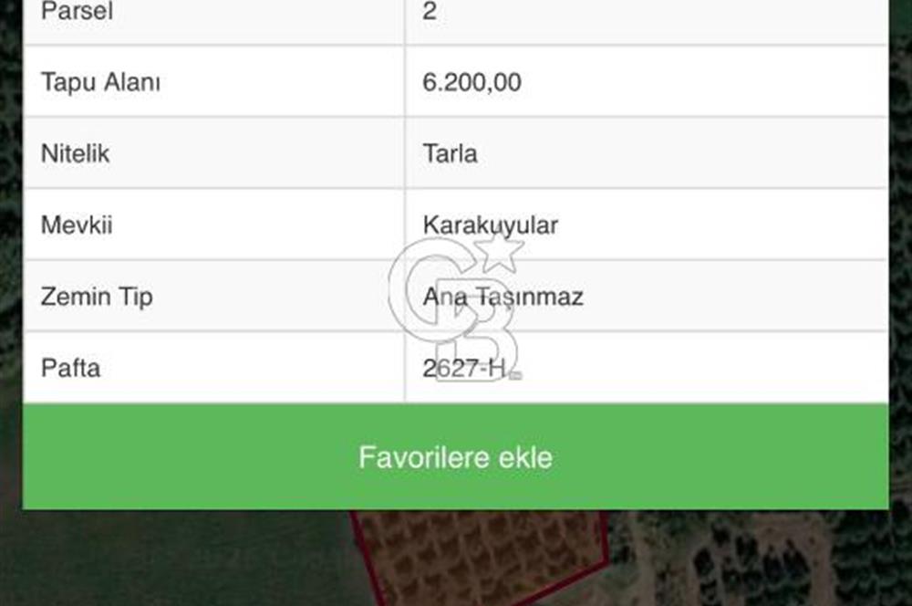 AYDIN KUYUCAK'TA YATIRIMLIK 180 AĞAÇLI PORTAKAL BAHÇESİ