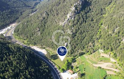 Muğla Ana Yola Cepheli Yüksek Görünürlüklü 2606 m2 Satılık Arazi