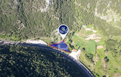 Muğla Ana Yola Cepheli Yüksek Görünürlüklü 2606 m2 Satılık Arazi