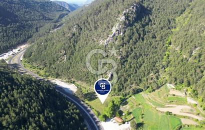 Muğla Ana Yola Cepheli Yüksek Görünürlüklü 2606 m2 Satılık Arazi