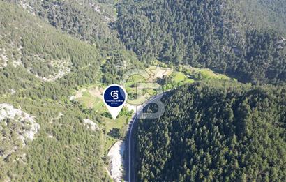 Muğla Ana Yola Cepheli Yüksek Görünürlüklü 2606 m2 Satılık Arazi
