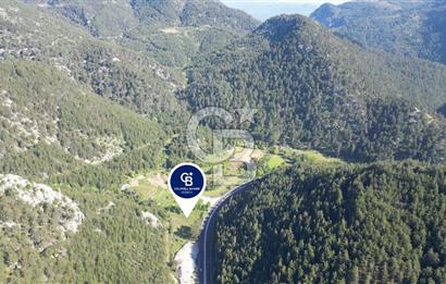 Muğla Ana Yola Cepheli Yüksek Görünürlüklü 2606 m2 Satılık Arazi