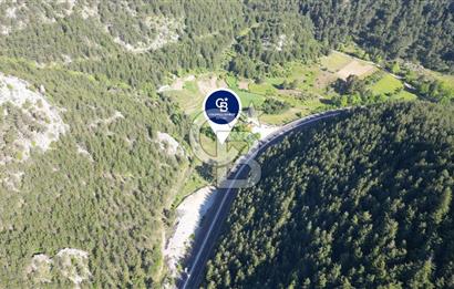 Muğla Ana Yola Cepheli Yüksek Görünürlüklü 2606 m2 Satılık Arazi