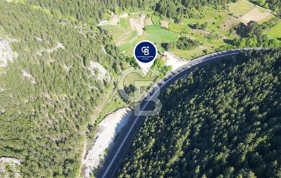 Muğla Ana Yola Cepheli Yüksek Görünürlüklü 2606 m2 Satılık Arazi