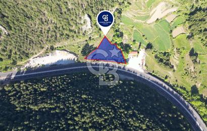 Muğla Ana Yola Cepheli Yüksek Görünürlüklü 2606 m2 Satılık Arazi