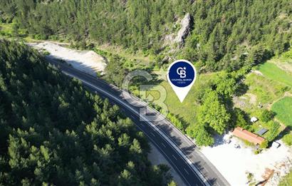 Muğla Ana Yola Cepheli Yüksek Görünürlüklü 2606 m2 Satılık Arazi