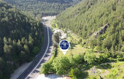 Muğla Ana Yola Cepheli Yüksek Görünürlüklü 2606 m2 Satılık Arazi