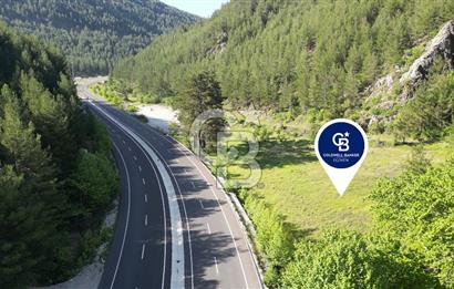 Muğla Ana Yola Cepheli Yüksek Görünürlüklü 2606 m2 Satılık Arazi