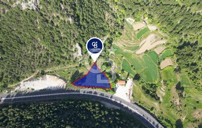 Muğla Ana Yola Cepheli Yüksek Görünürlüklü 2606 m2 Satılık Arazi