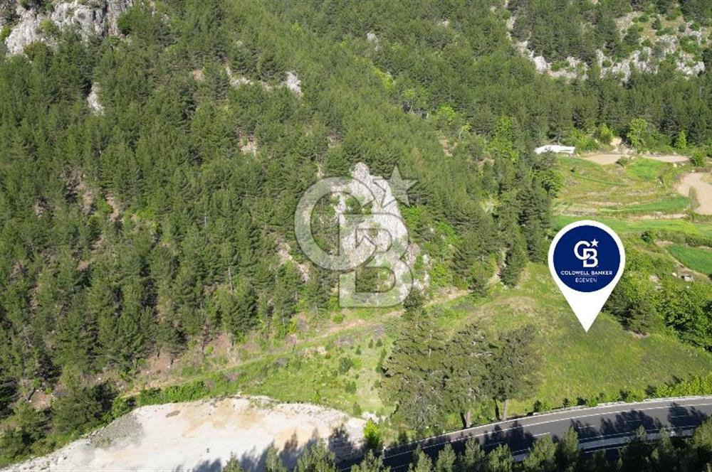 Muğla Ana Yola Cepheli Yüksek Görünürlüklü 2606 m2 Satılık Arazi