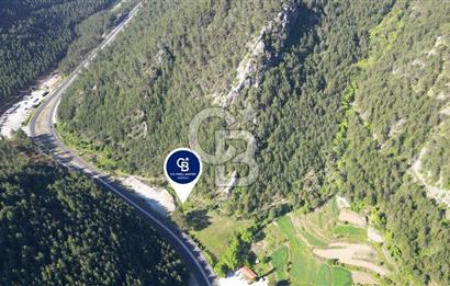 Muğla Ana Yol Üzeri Yüksek Görünürlüklü 3919m2 Satılık Arazi