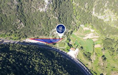 Muğla Ana Yol Üzeri Yüksek Görünürlüklü 3919m2 Satılık Arazi
