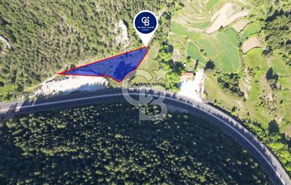 Muğla Ana Yol Üzeri Yüksek Görünürlüklü 3919m2 Satılık Arazi