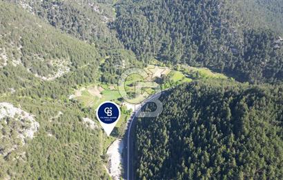 Muğla Ana Yol Üzeri Yüksek Görünürlüklü 3919m2 Satılık Arazi