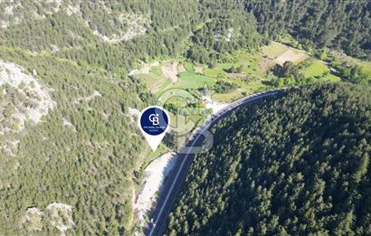 Muğla Ana Yol Üzeri Yüksek Görünürlüklü 3919m2 Satılık Arazi