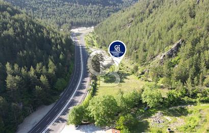 Muğla Ana Yol Üzeri Yüksek Görünürlüklü 3919m2 Satılık Arazi