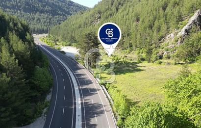 Muğla Ana Yol Üzeri Yüksek Görünürlüklü 3919m2 Satılık Arazi