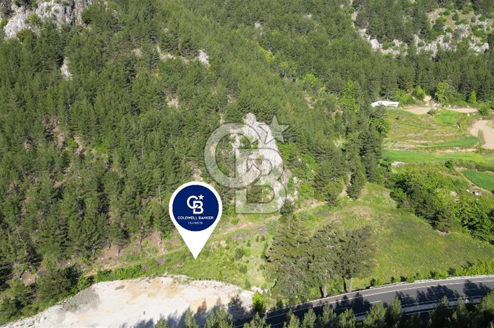 Muğla Ana Yol Üzeri Yüksek Görünürlüklü 3919m2 Satılık Arazi
