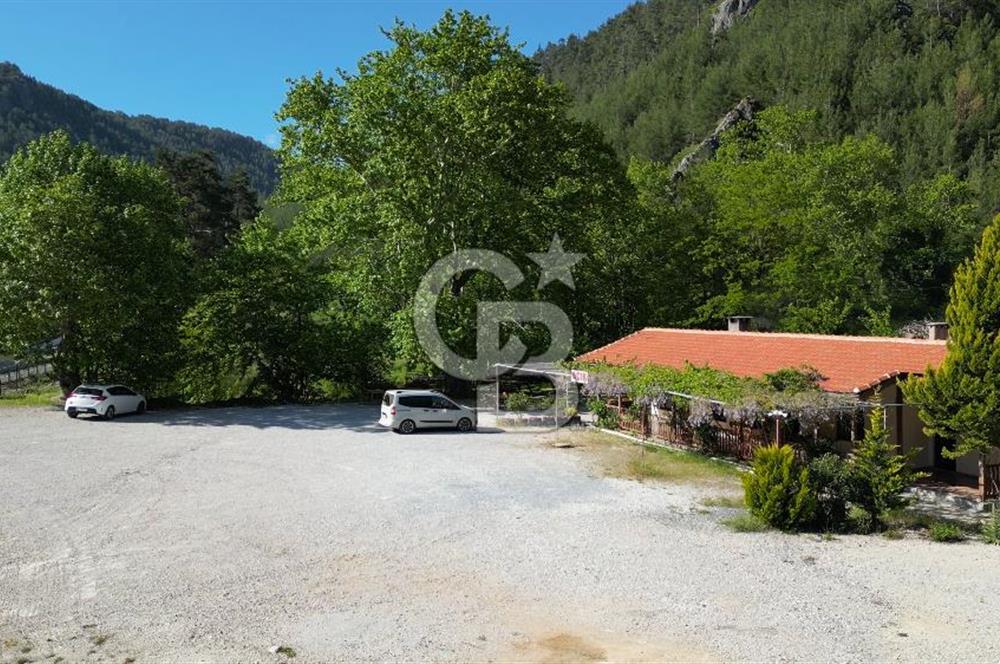 Muğla Ana Yol Üzeri Yüksek Görünürlüklü 3919m2 Satılık Arazi